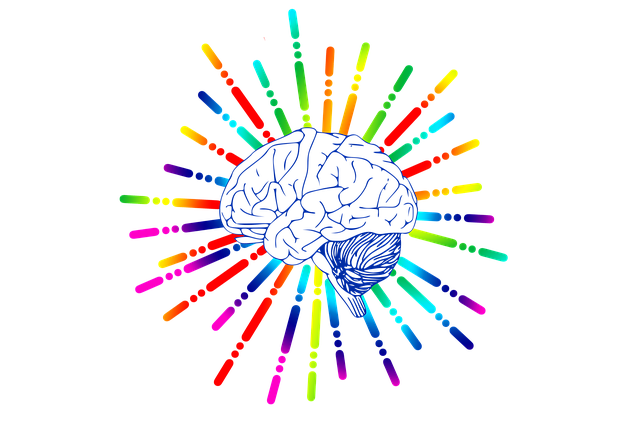 brain-3262120_640_Image_by_Gerd_Altmann_from_Pixabay